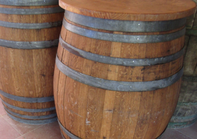 Entorno, sueño, realidad, eventos para amigos, corporativos, familiares y multitudinarios en Valmadrid. Finca Galafre