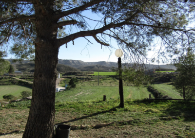 Entorno, sueño, realidad, eventos para amigos, corporativos, familiares y multitudinarios en Valmadrid. Finca Galafre